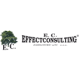 <strong>Effectconsulting, a.s.</strong>