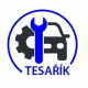 <strong>AUTO-PNEU-SERVIS</strong> Tesařík