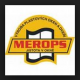 <strong>MEROPS spol. s r.o.</strong>