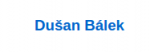 Dušan Bálek