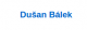 Dušan Bálek