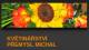 KVĚTINOVÉ STUDIO U MIŠÁKA