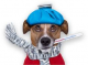 VETERINÁRNÍ ORDINACE - MVDr. Petr Vymazal