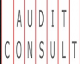 AUDIT CONSULT, a.s.