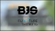 <strong>BJS Czech s.r.o.</strong>