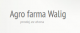 Tradiční venkov </br>Agro Farma Walig