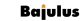 BAJULUS s. r. o.