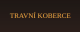 Travní koberce<br>Blanka Bastlová