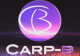 CARP-B E&I s.r.o.