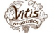 <strong>Víno vitis</strong>
