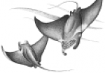 <strong>Elektromontáže Nepraš s.r.o.</strong>
